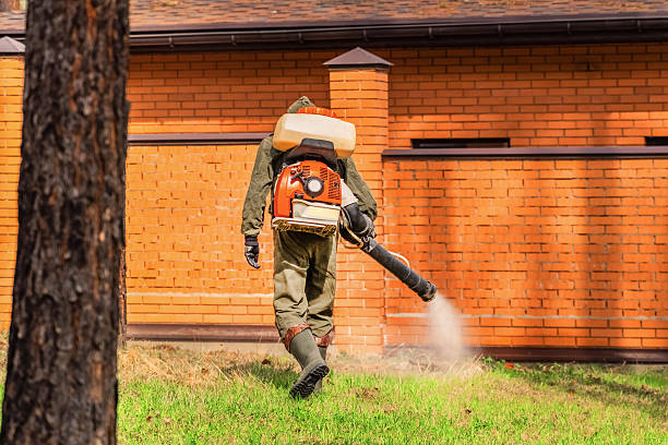 Trusted Mosquito Control service in Wanakah, NY - Nex Pest Control